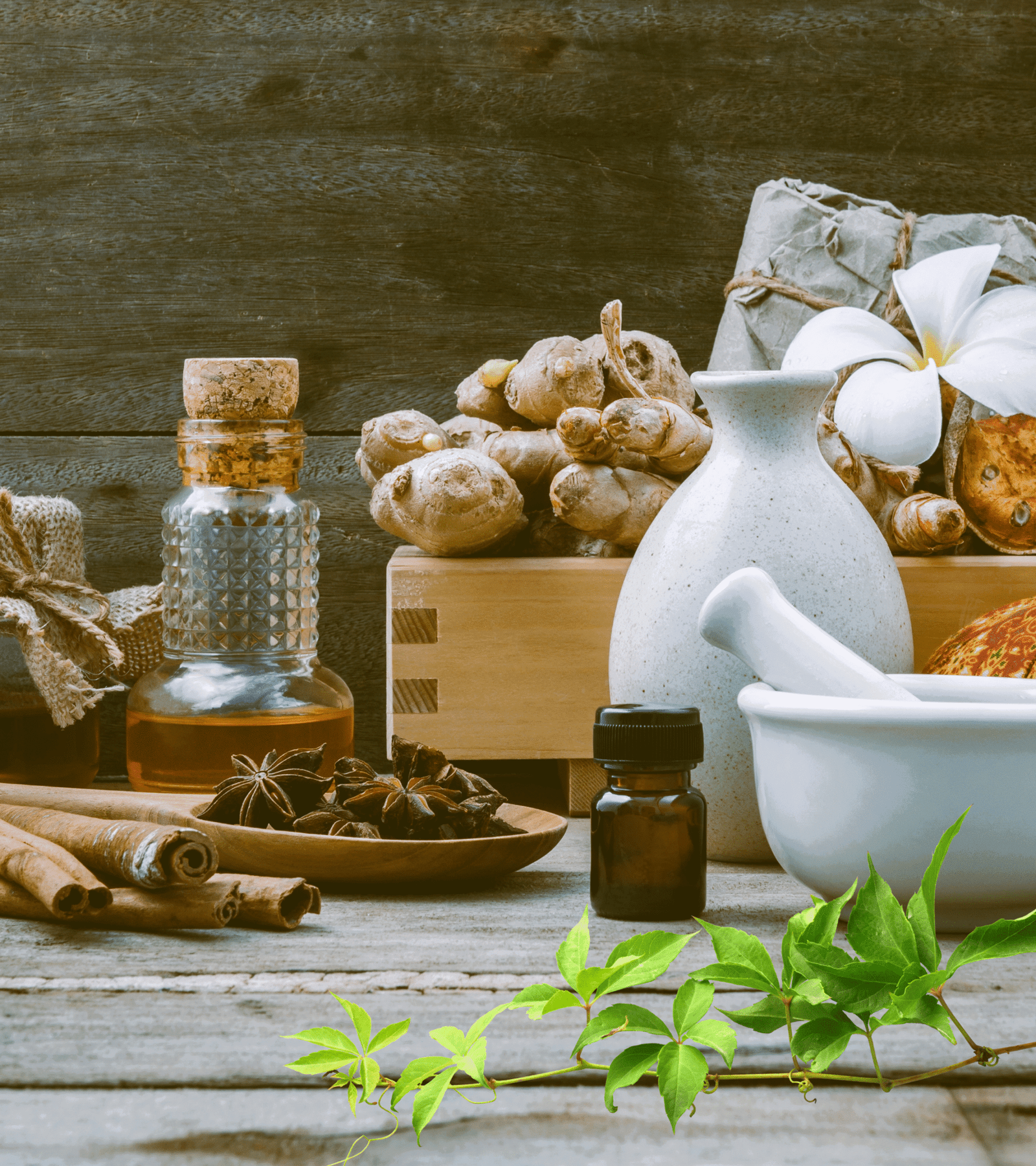 Shashikala%20Ayurvedic