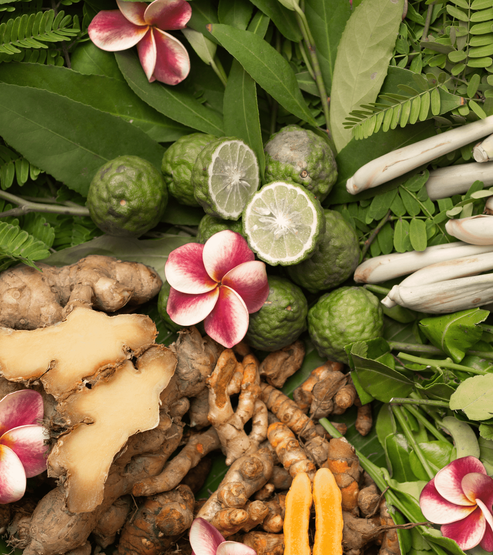 Shashikala%20Ayurvedic