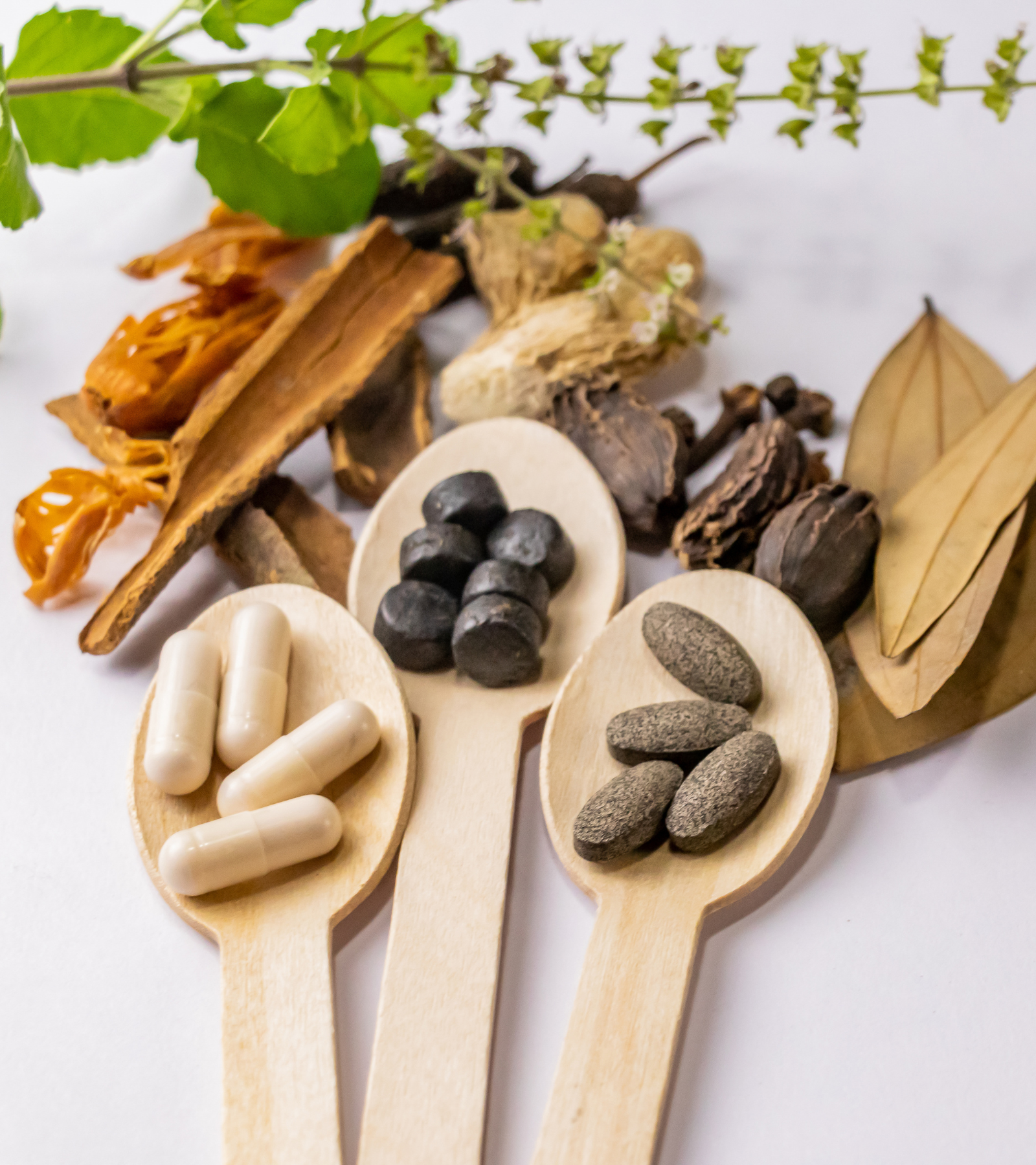 Shashikala%20Ayurvedic