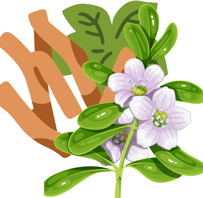 Shashikala%20Ayurvedic