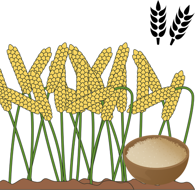 Shashikala%20Ayurvedic