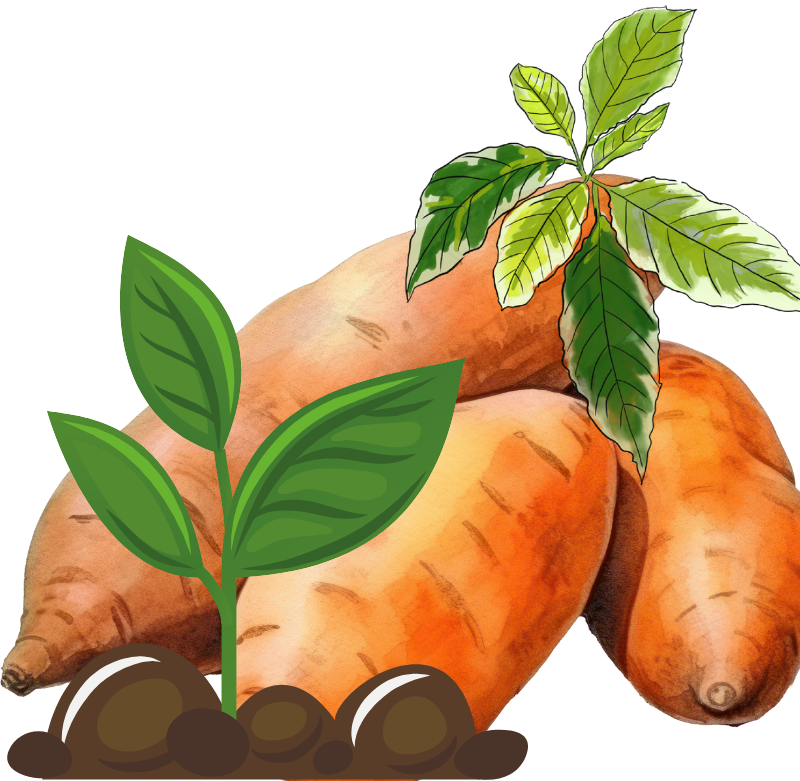 Shashikala%20Ayurvedic